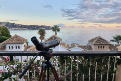 View from Patio